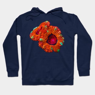 Sunburst Aussie Hoodie